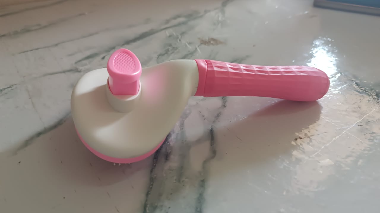 Self-Cleaning Slicker Brush for Dogs & Cats (1 Pc)