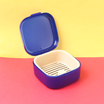 Oblivion Multi-Purpose Storage Box, DENTURE CASE (mix color & 1 Pc)