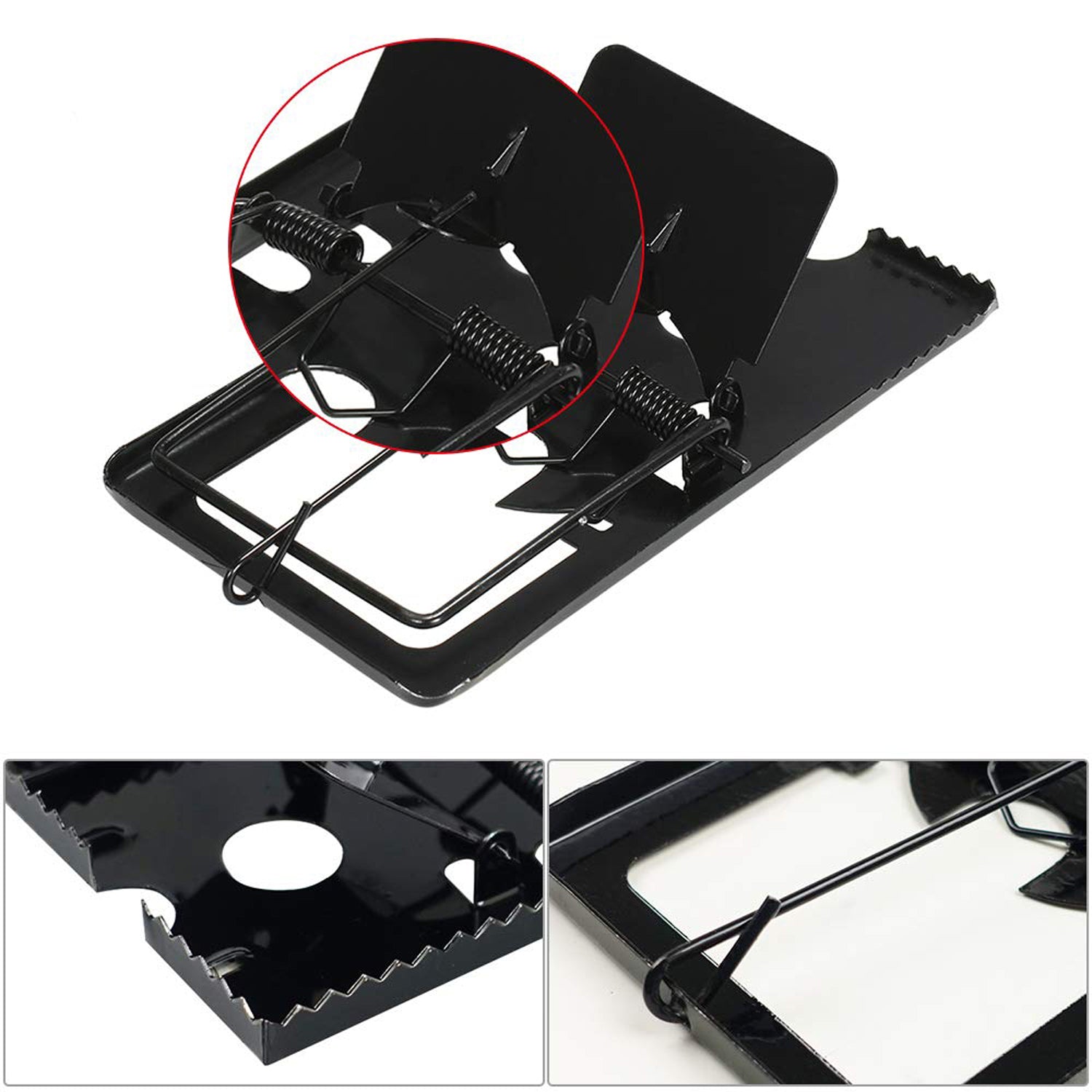 Rodent Lock