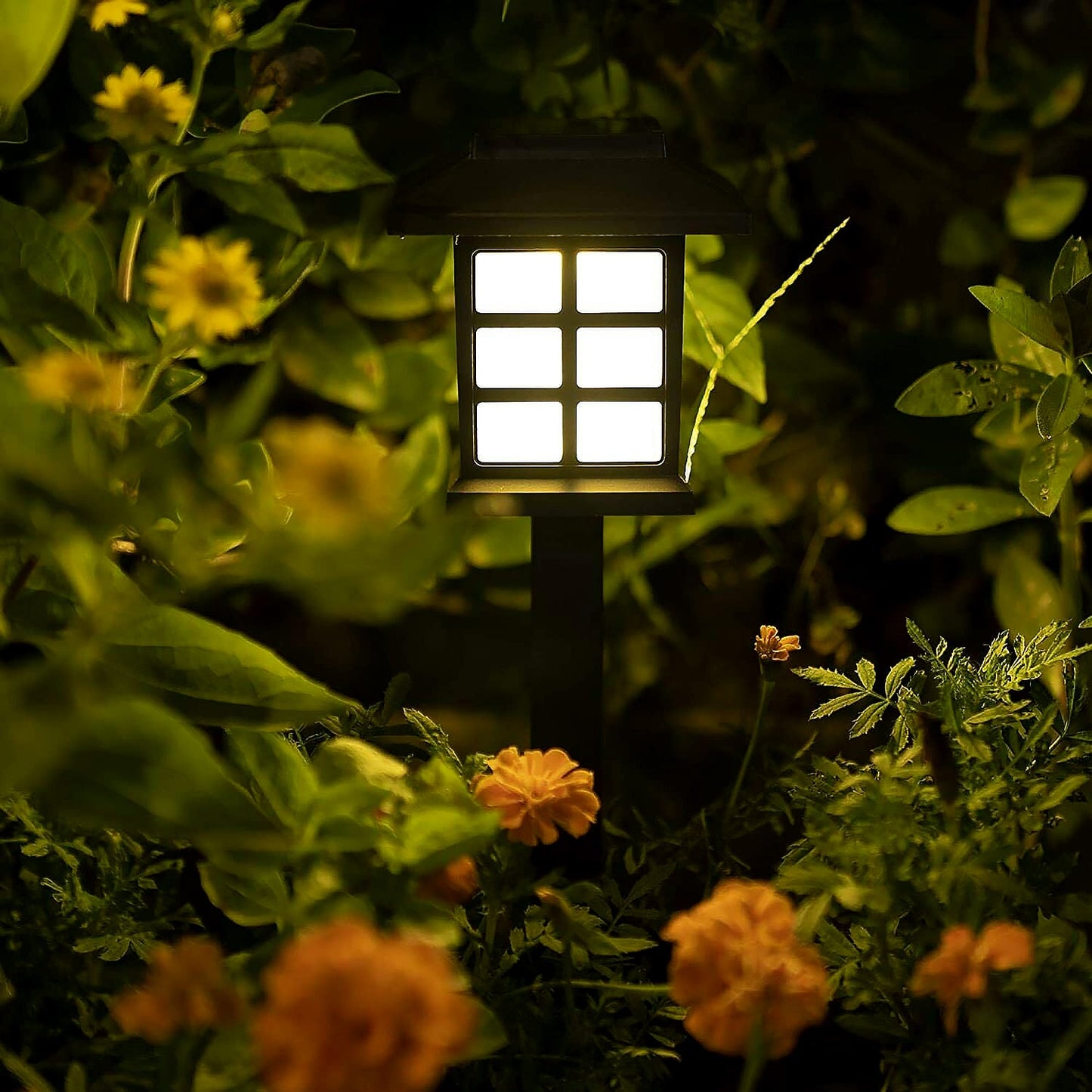 Solar Garden Lights, Outdoor Solar Landscape Lights (Pack of 2)