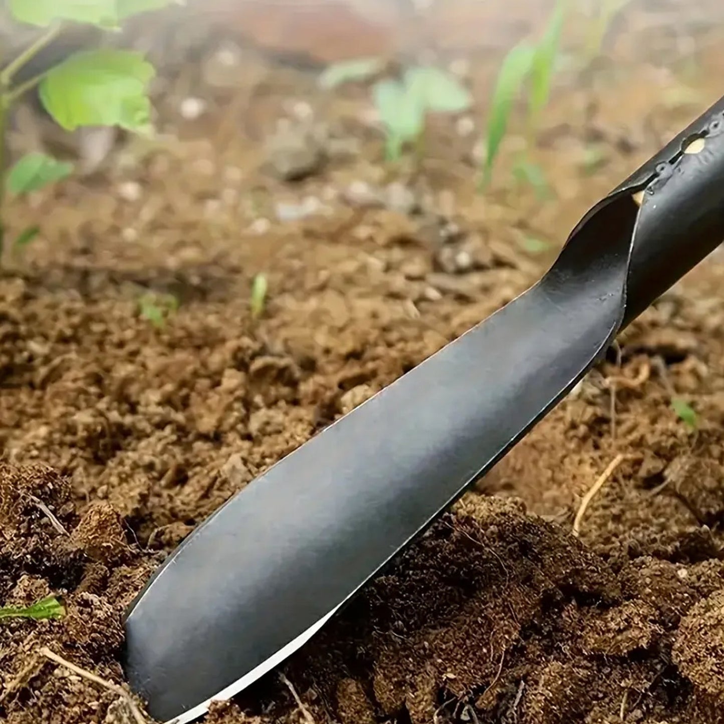 Wooden Handle