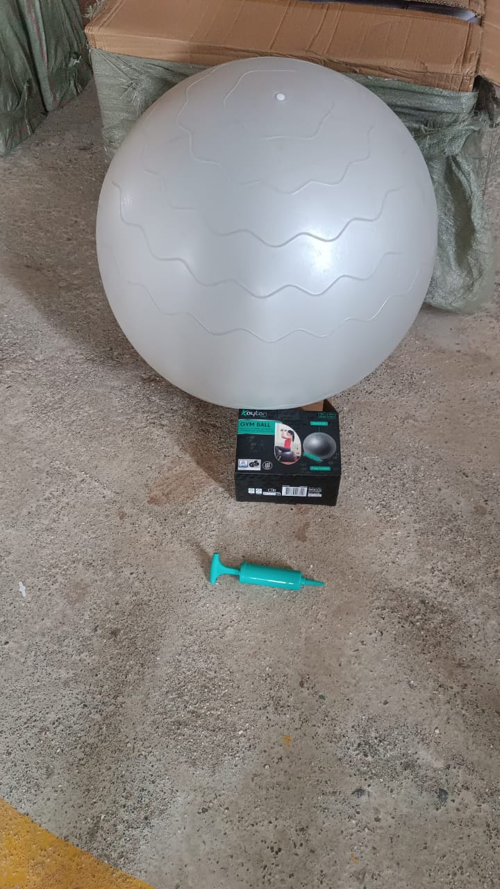 Heavy Duty Gym Ball Non-Slip Stability Ball with Foot Pump for Total Body Fitness