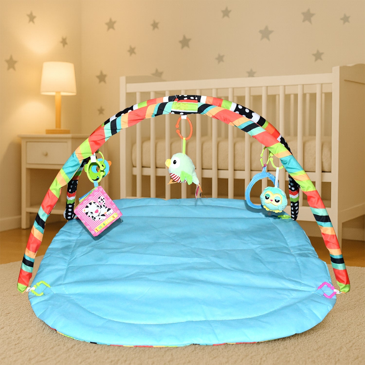 All-in-One Play Gym 