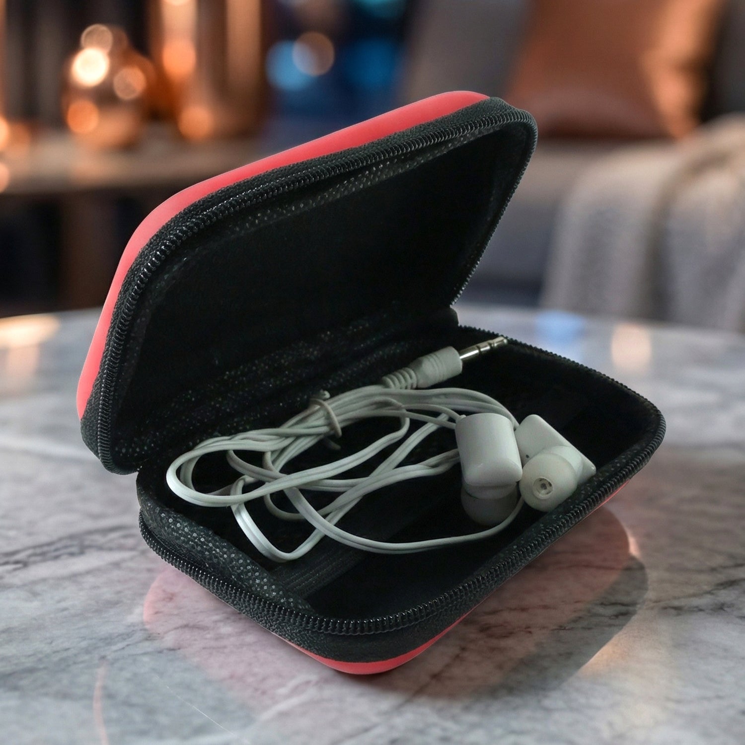 portable earphones with carry case